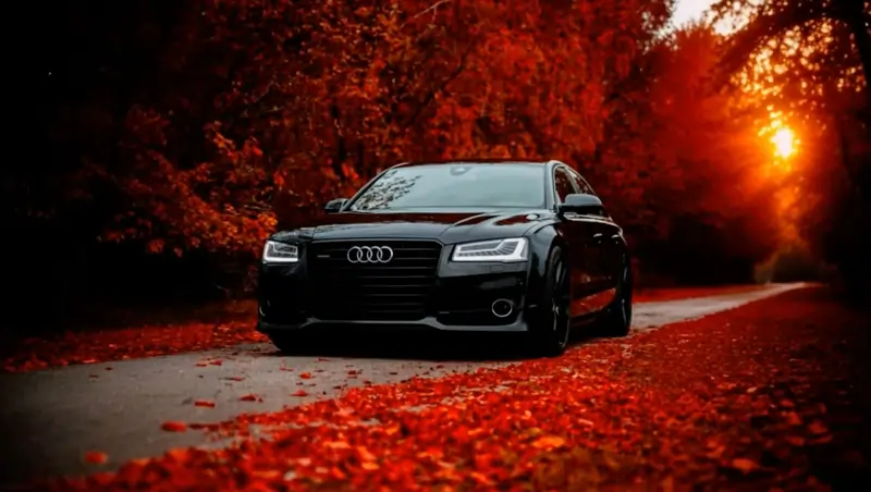 Rent Audi A8,A6,Q5